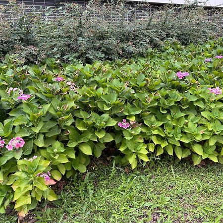 Jardins De La Noue Apartment Villeneuve-la-Garenne Bagian luar foto